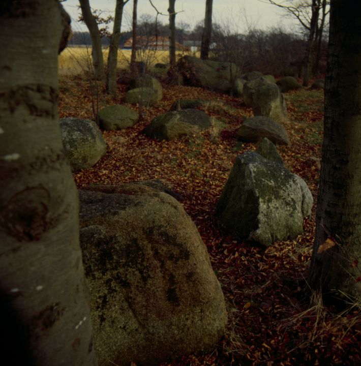 C. S. Fuchs, CC-BY-SA 4.0
Großsteingrab (1996)