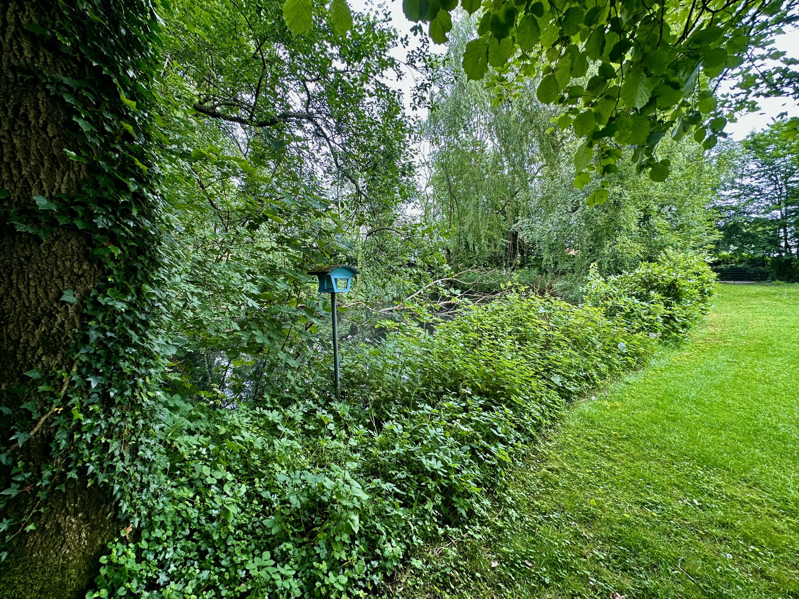 Pastorenteich